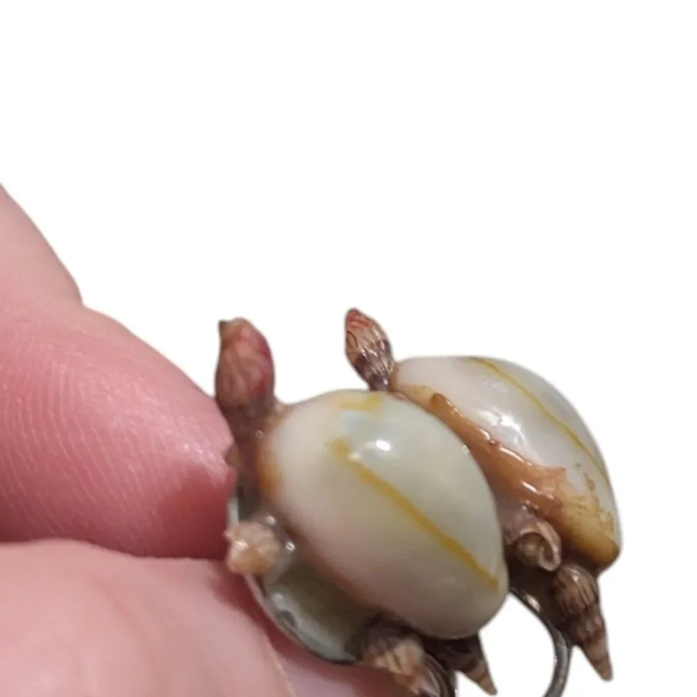 Vintage Sea Turtle Shell Screw Back Earrings, Natural Shell Turtle Earrings